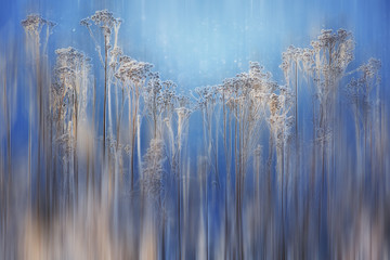 blurred background grass winter hoarfrost