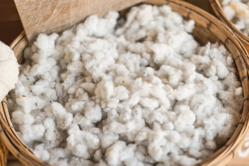 Silk cotton wool. Selective focus.