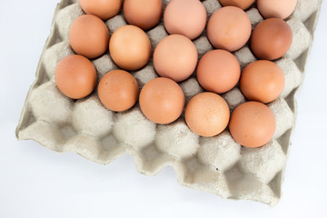 Eggs in  tray  on white background