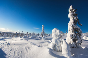 Fototapeta na wymiar Beautiful cold mountain view of ski resort, sunny winter day with slope, piste and ski lift