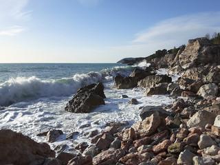 Gale on the seashore