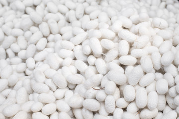 White cocoon background. Selective focus.