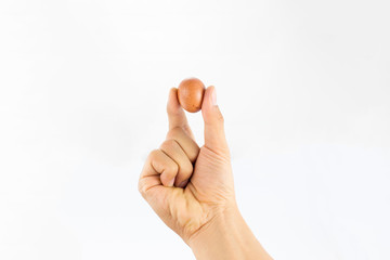 Eggs in  tray  on white background