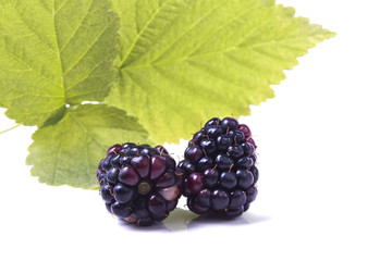 two natural blackberries with leaves