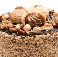 Chocolate cake close up