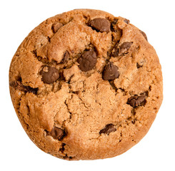 Chocolate chip cookie