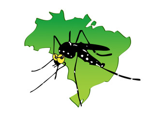 Zika Brazil