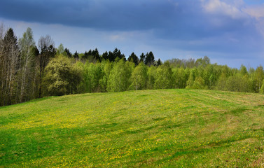 colorfull spring landscape