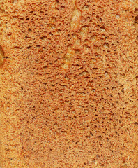 Brown bread texture