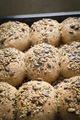 Homemade whole grain bread