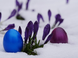 easter eggs laying snow flowers 