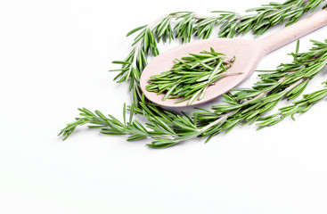 sprigs of fresh rosemary on a wooden spoon. on a white backgroun