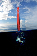 SAFETY STOP / After every dive i recommended to do a safety stop at 5m for 3 min. at this time I like to take photos!