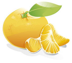 Une orange et ses quartiers