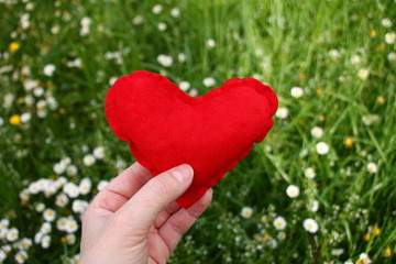 Red heart symbol of love in woman's hand with green grass and flowers in background