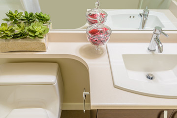 Fragment of a luxury bathroom