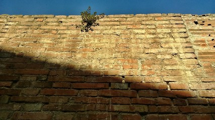 Muro, fondo, textura