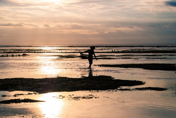 Evening Work
A seaweed farmer working late in the afternoon on the island of Nusa Lembongan, Bali, Indonesia.