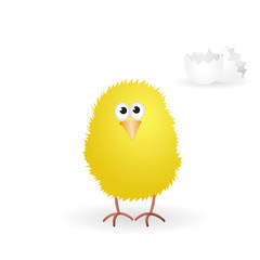 Little yellow chick just hatched from the egg. Vector illustration.