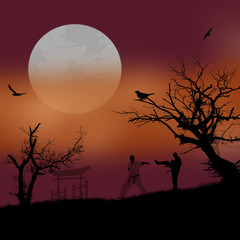 Karate in sunset