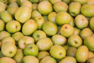 Pile of green monkey apple