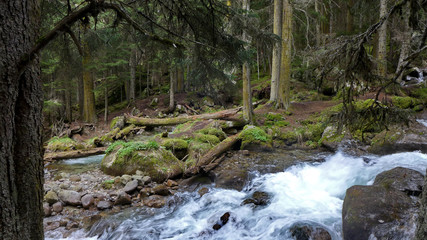 The Murudzhu river, Caucasus, Teberda Nature Reserve