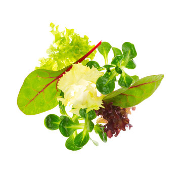 Bunter, gemischter Salat - Blattsalate