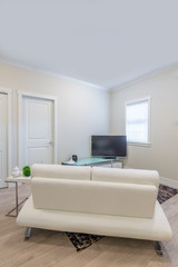 Interior design of a luxury living room