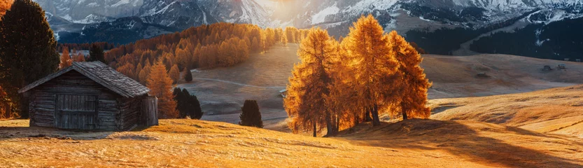Papier Peint photo autocollant Marron profond Italie. Dolomites. Paysage d& 39 automne aux couleurs vives, maison et mélèzes dans la douce lumière du soleil.