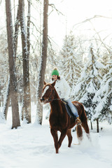 beautiful girl and horse in winter