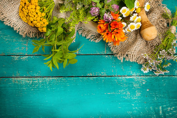 Summer fresh medicinal herbs on the wooden background.