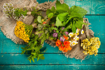 Summer fresh medicinal herbs on the wooden background. © ksu_ok
