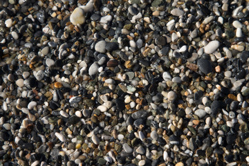 Background of natural pebble on a sea coast. Selective focus