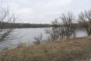 зимний парк