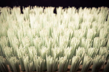 Bristle brush for clothes. Shallow depth of field. Selective foc