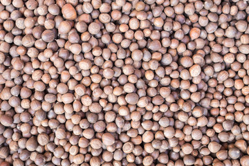 Pile of small chestnuts in market, Food background or texture