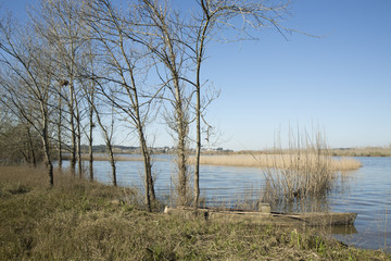 Park of Vagos,Europa,Portugal.
