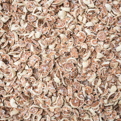 Betel nut dry in the sun