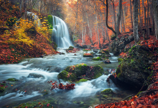 Fototapeta Piękna siklawa przy halną rzeką w kolorowym jesień lesie z czerwienią i pomarańcze opuszcza przy zmierzchem. Krajobraz przyrody