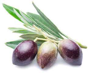 Three fresh olives with leaves on the white background.