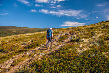 Fototapeta premium hiker with backpack traveling in Norway mountains Dovre