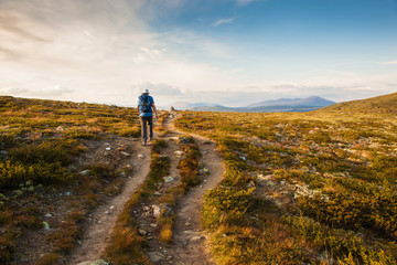 hiker with backpack traveling in Norway mountains Dovre