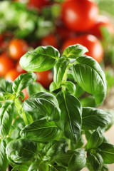 basil and tomatoes