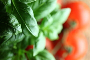 healthy food, basil, tomatoes
