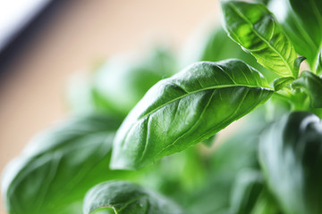 healthy organic food