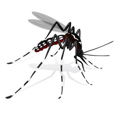 Aedes aegypti Mosquito mascot stilt