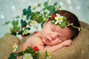 Newborn baby girl has sweet dreams in strawberries © Yarkovoy