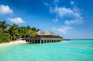 Obraz na płótnie Canvas Perfect tropical island paradise beach Maldives