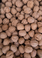 walnuts in shell scattered