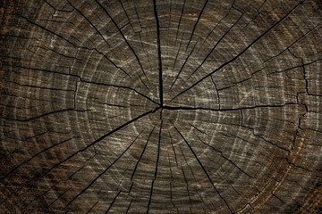 Dark  scratched wood texture with cracks. Wood texture